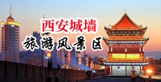国产大鸡巴男人操孕妇的逼录像视频中国陕西-西安城墙旅游风景区